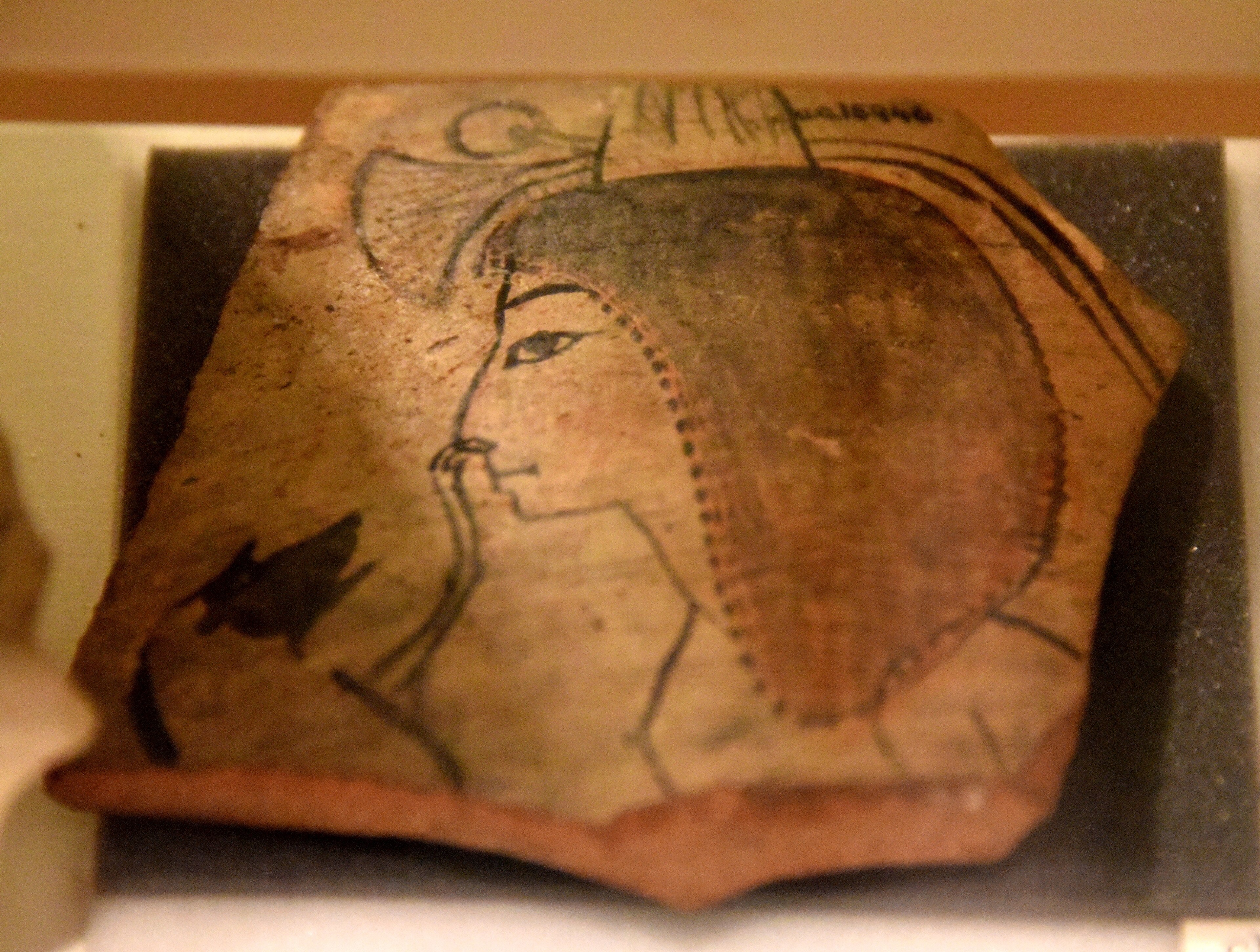 Bust of Ramesses II — image 15