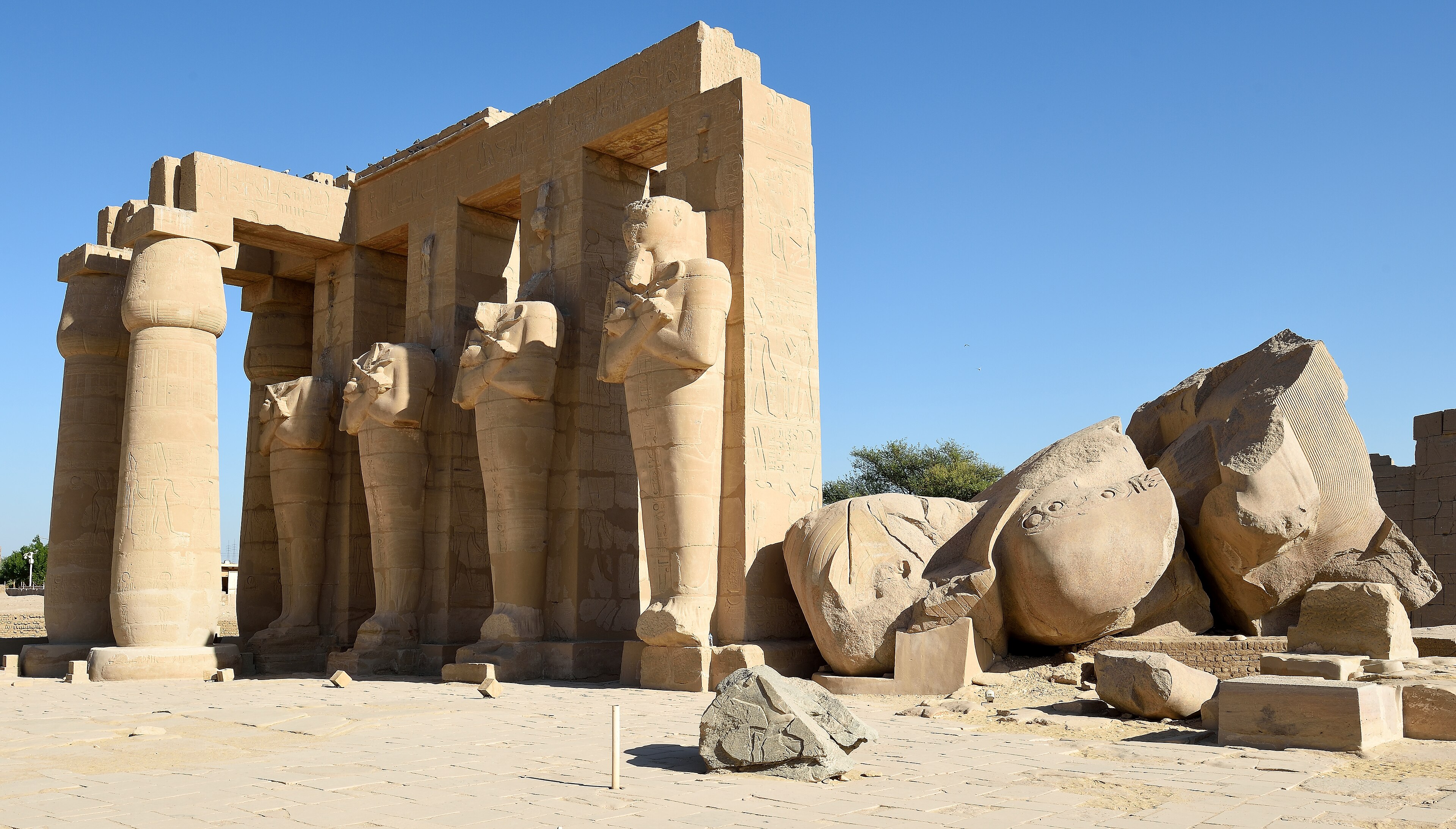 Bust of Ramesses II — image 7