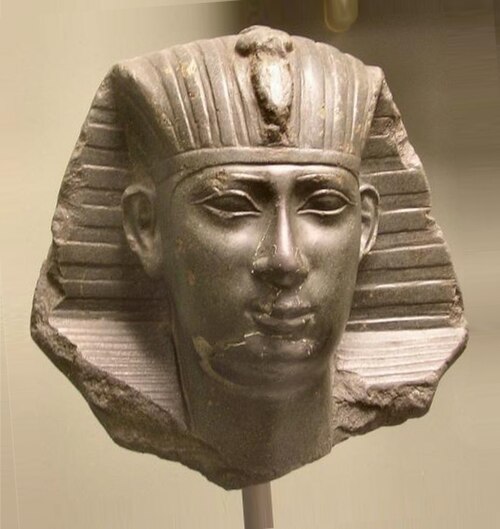 The Sarcophagus of Ankhnesneferibre — image 3