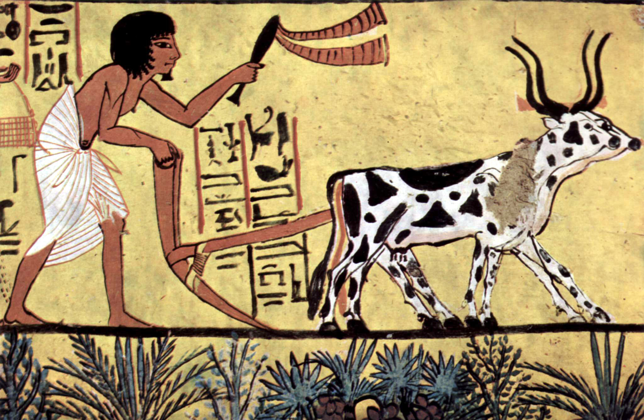 The Sarcophagus of Ankhnesneferibre — image 2
