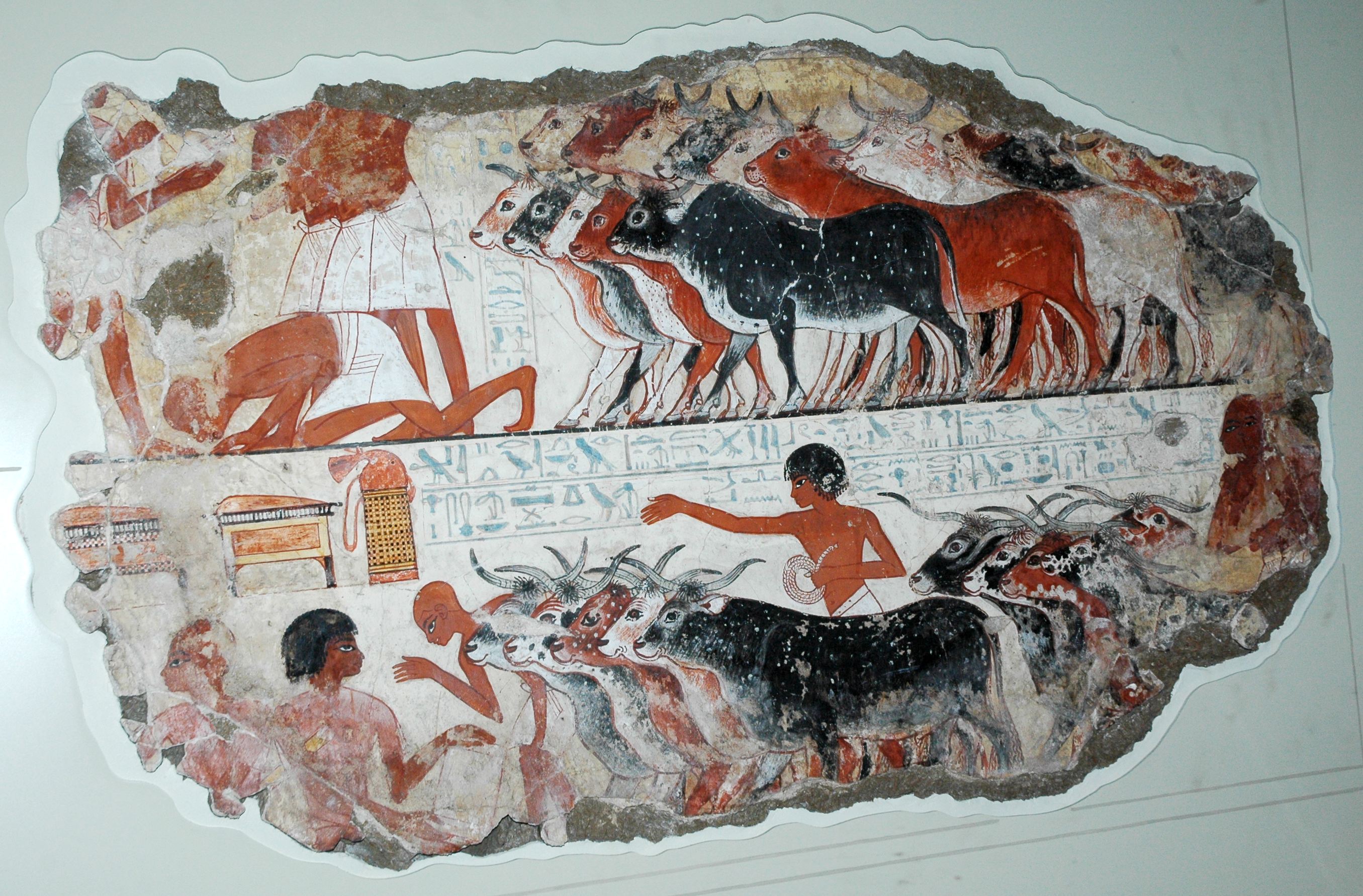 The Sarcophagus of Ankhnesneferibre — image 3