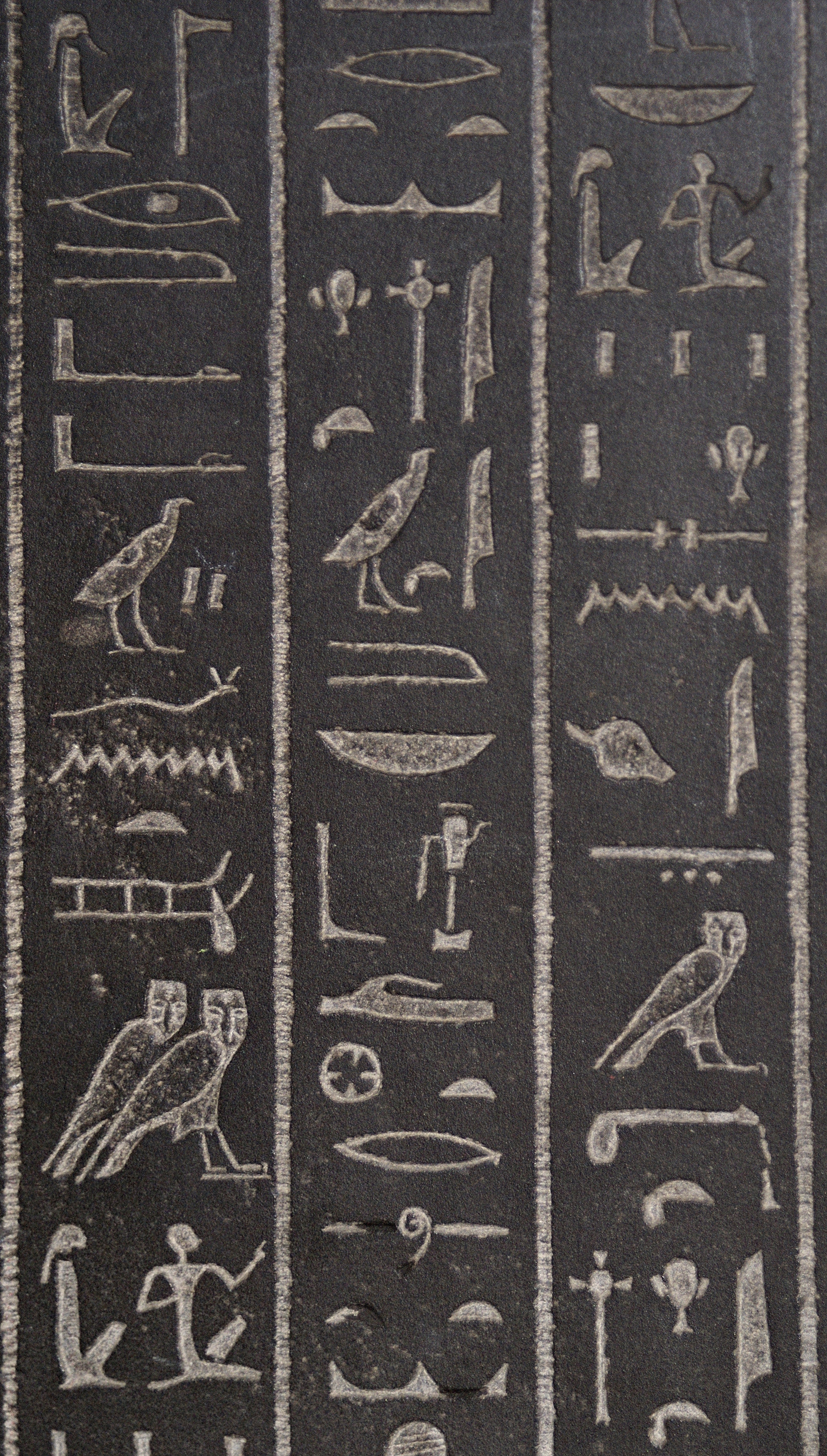 The Sarcophagus of Ankhnesneferibre — image 1