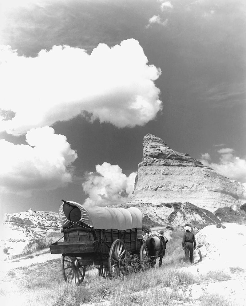 American Emigration and Sutter's Fort — image 9