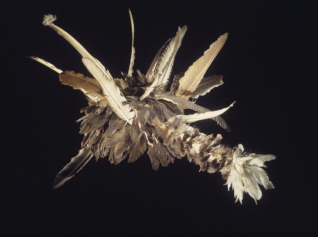Native Californians — image 13