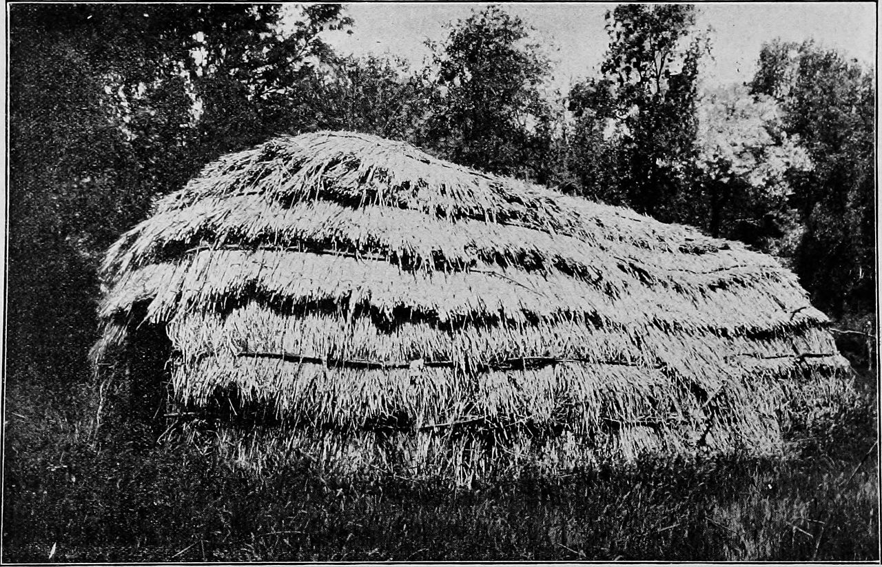 Native Californians — image 15