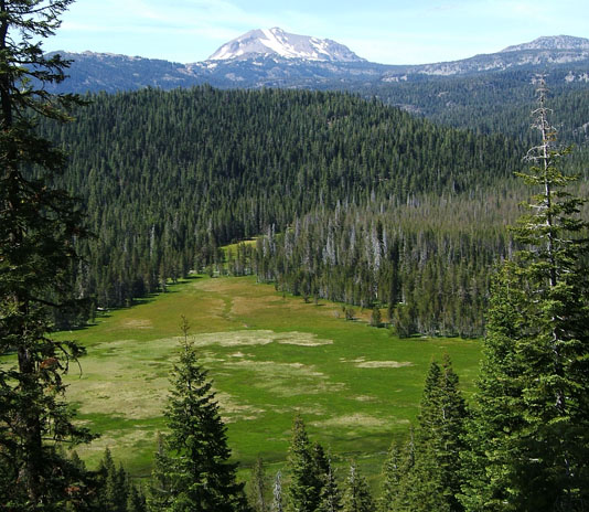 Native Californians — image 21