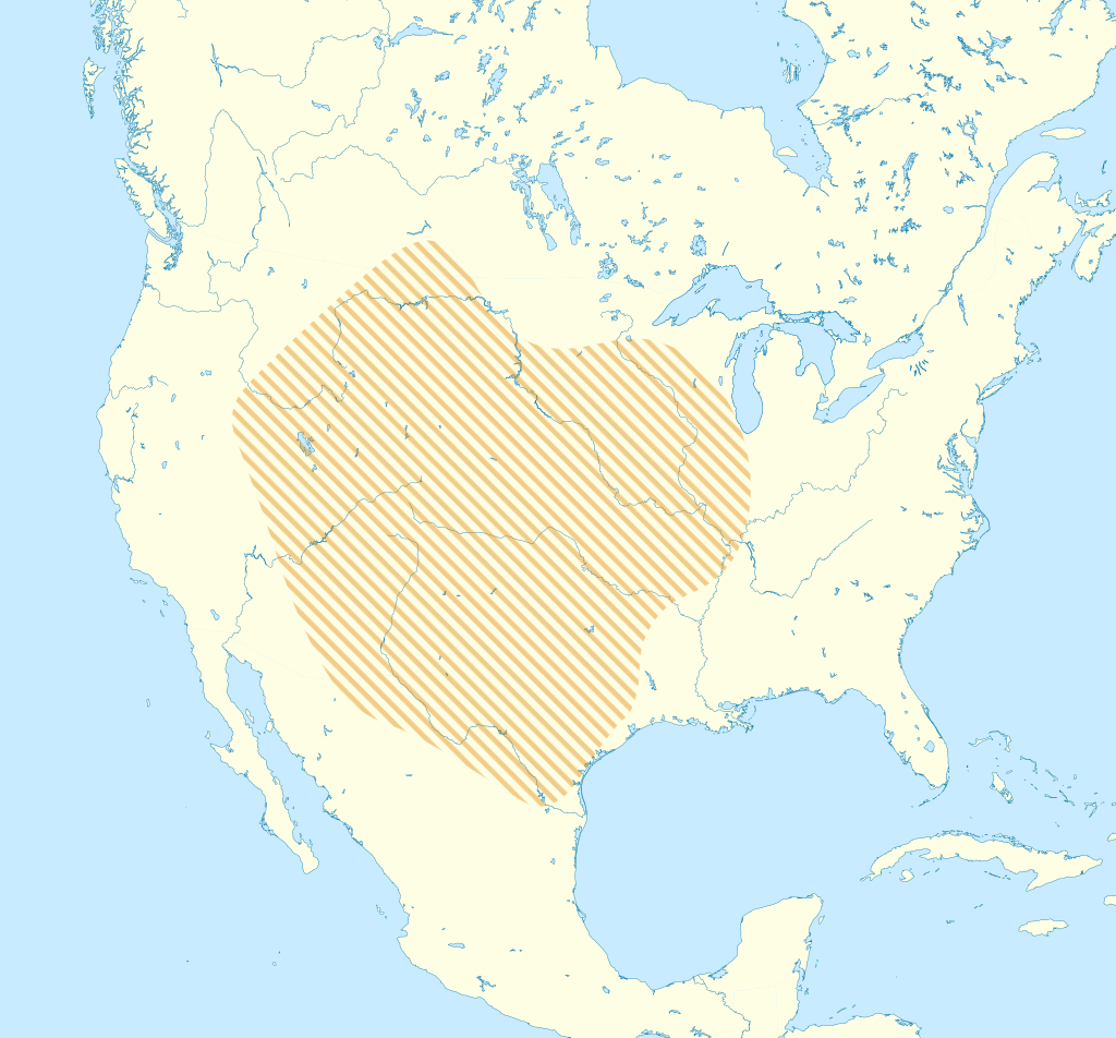 The first settlers in America — image 14
