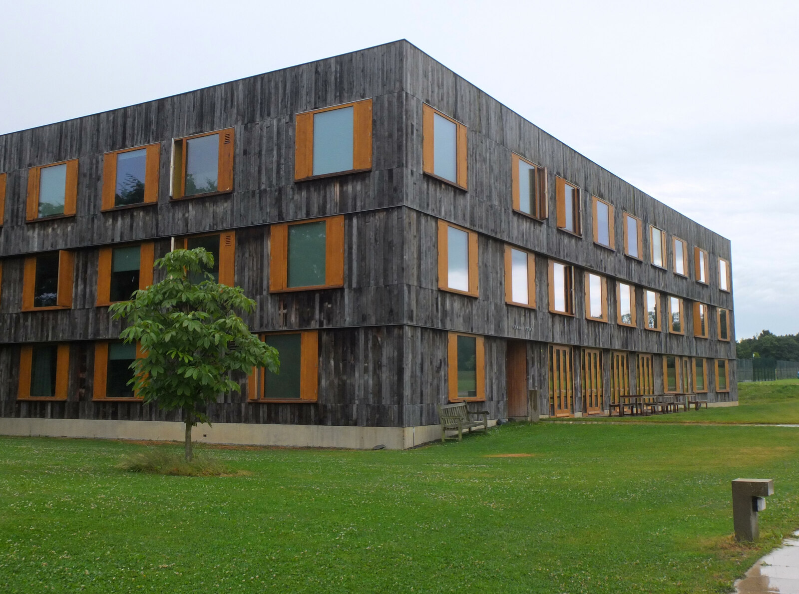 The New Colleges — image 3