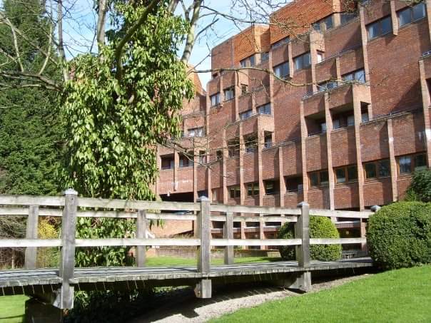 The New Colleges — image 2