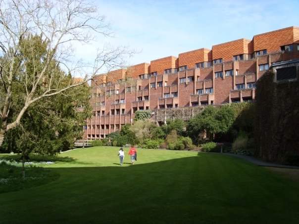 The New Colleges — image 3