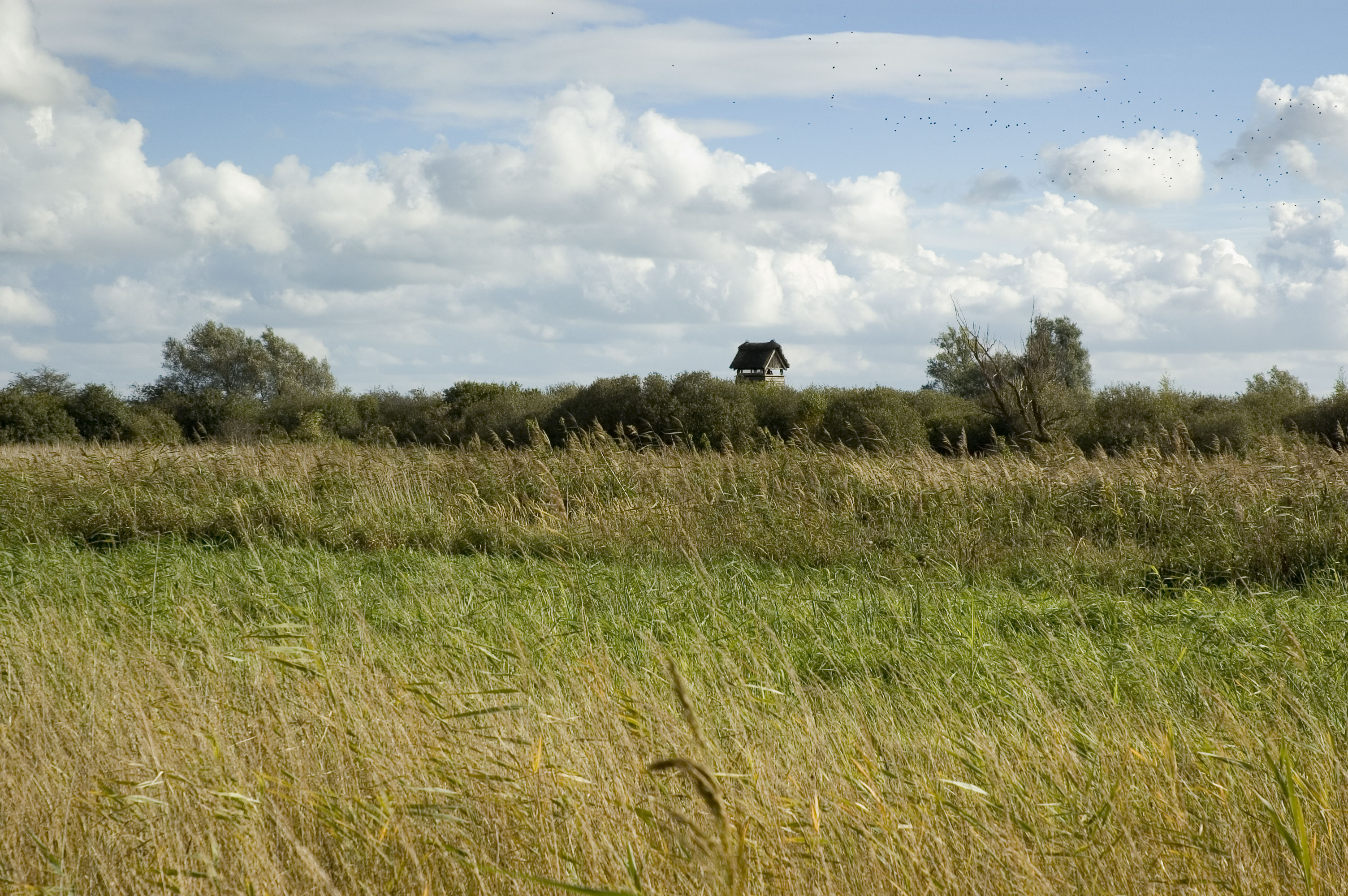 The River Crossing — image 1