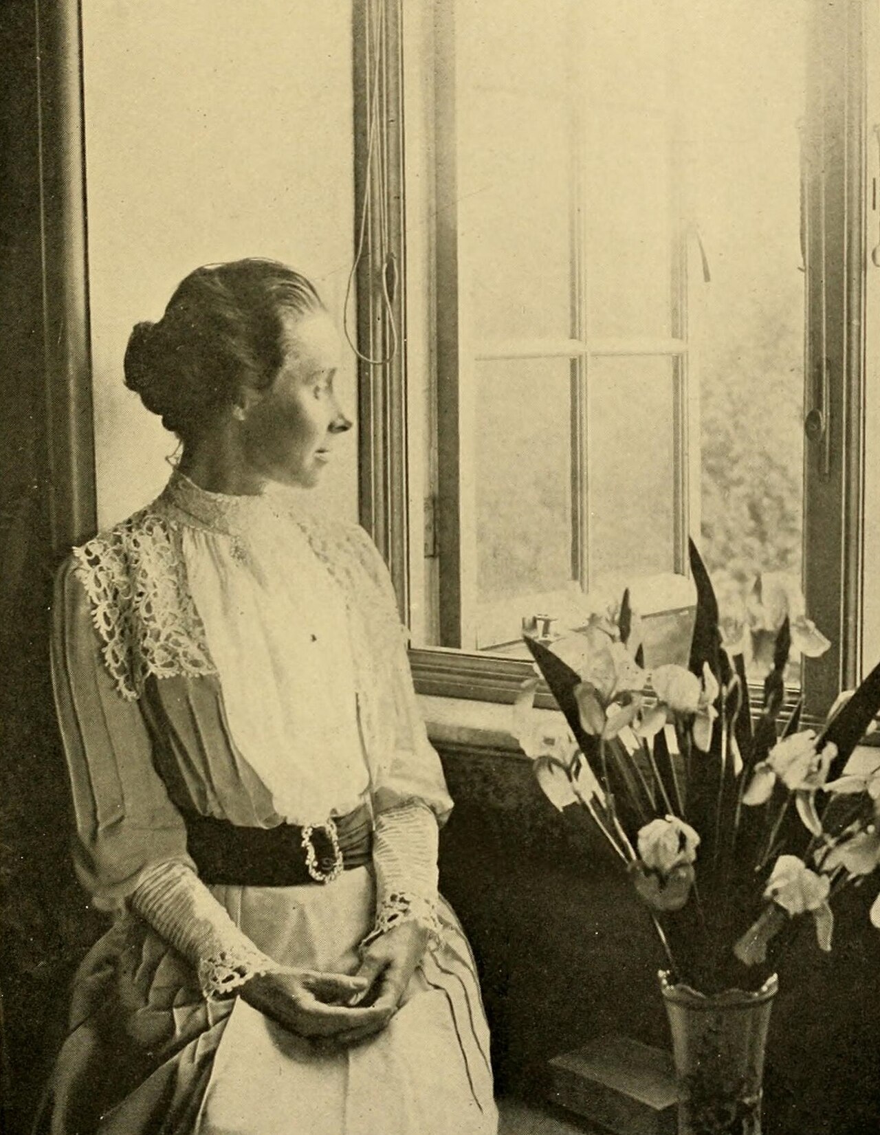 The Victorian Colleges — image 2