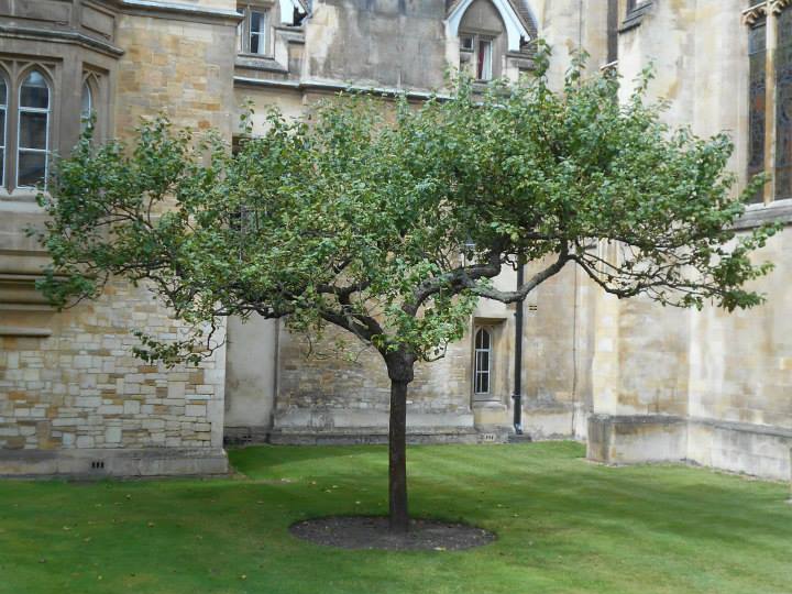 Trinity College — image 3