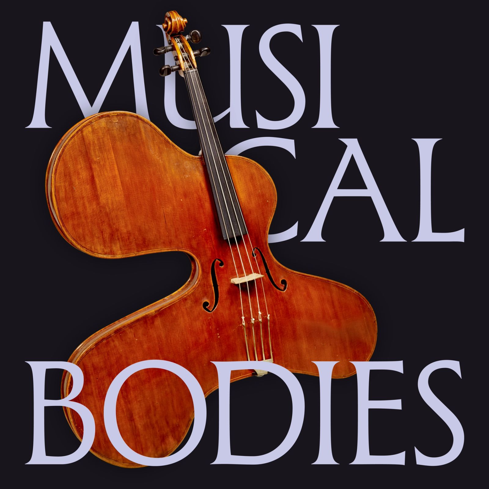Musical Bodies