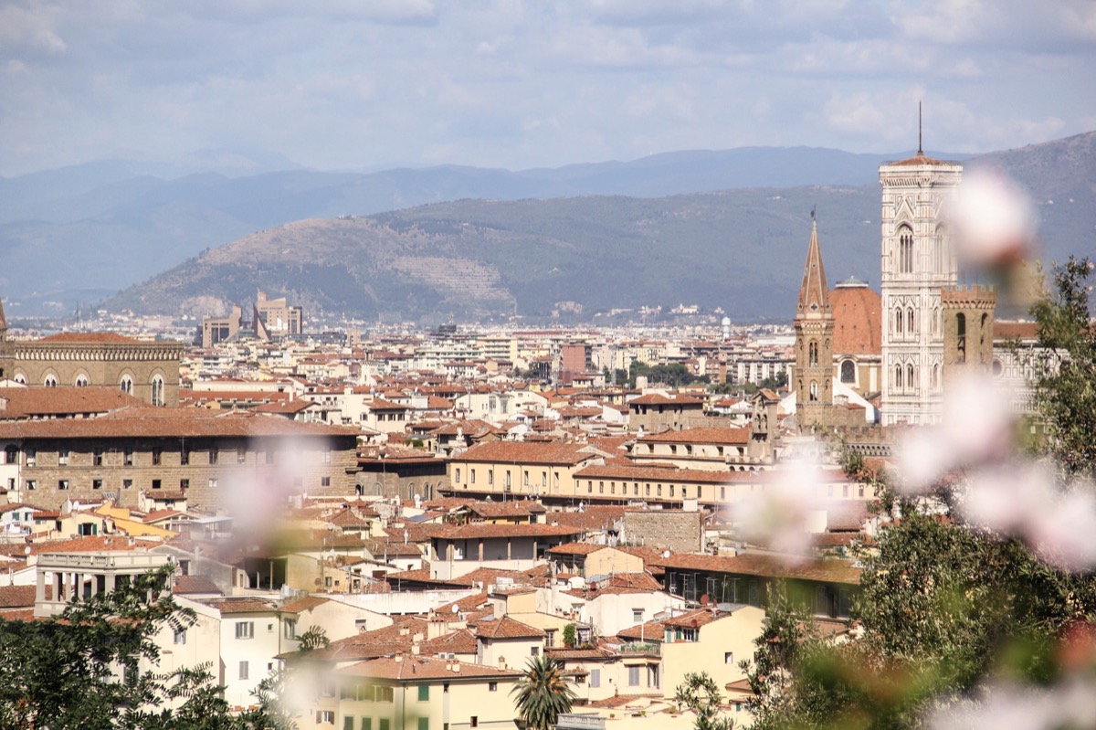 Florence as Capital of Italy — image 1