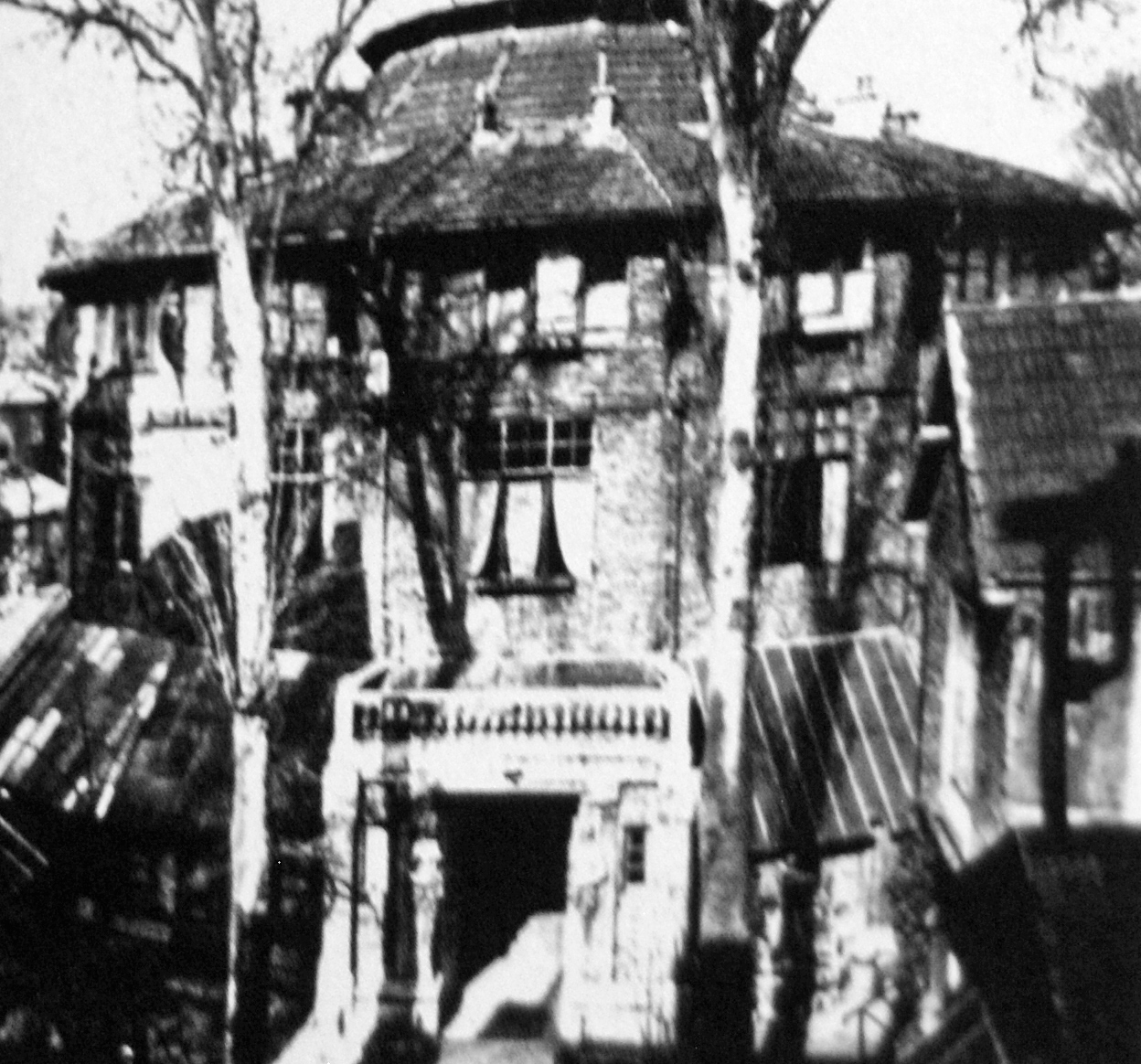 Nude — image 4