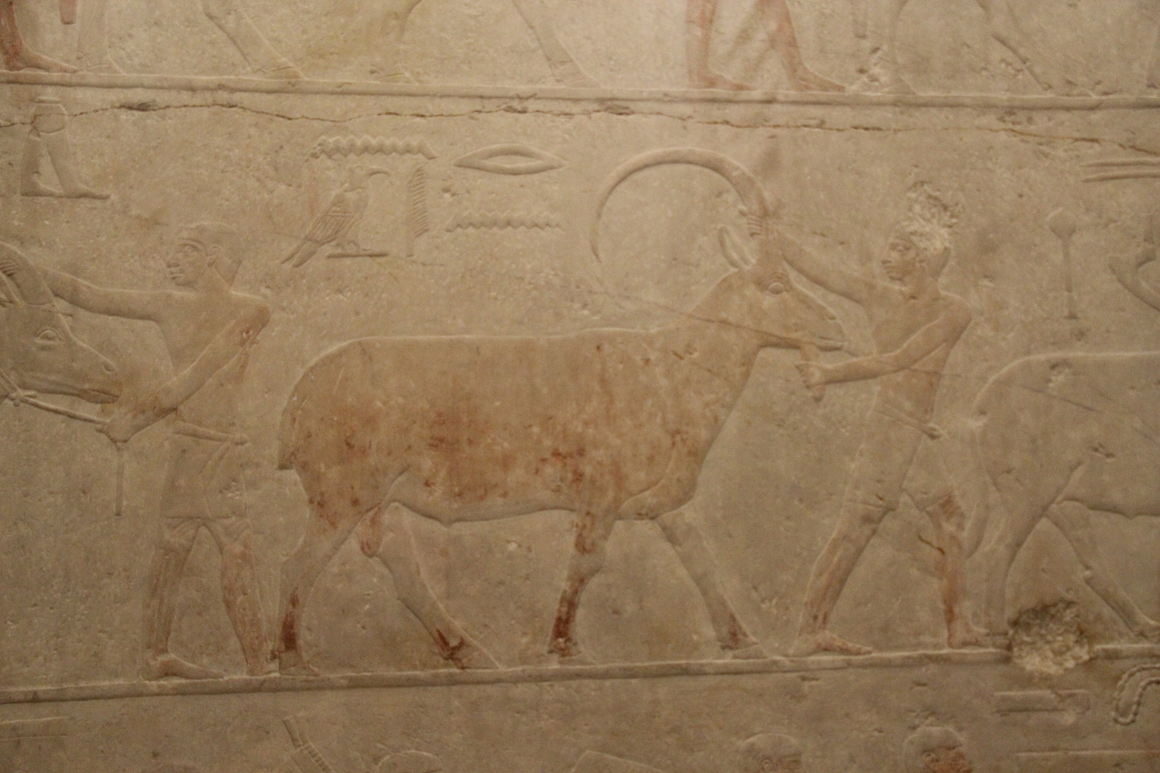 Mastaba Chapel of Akhethotep — image 2