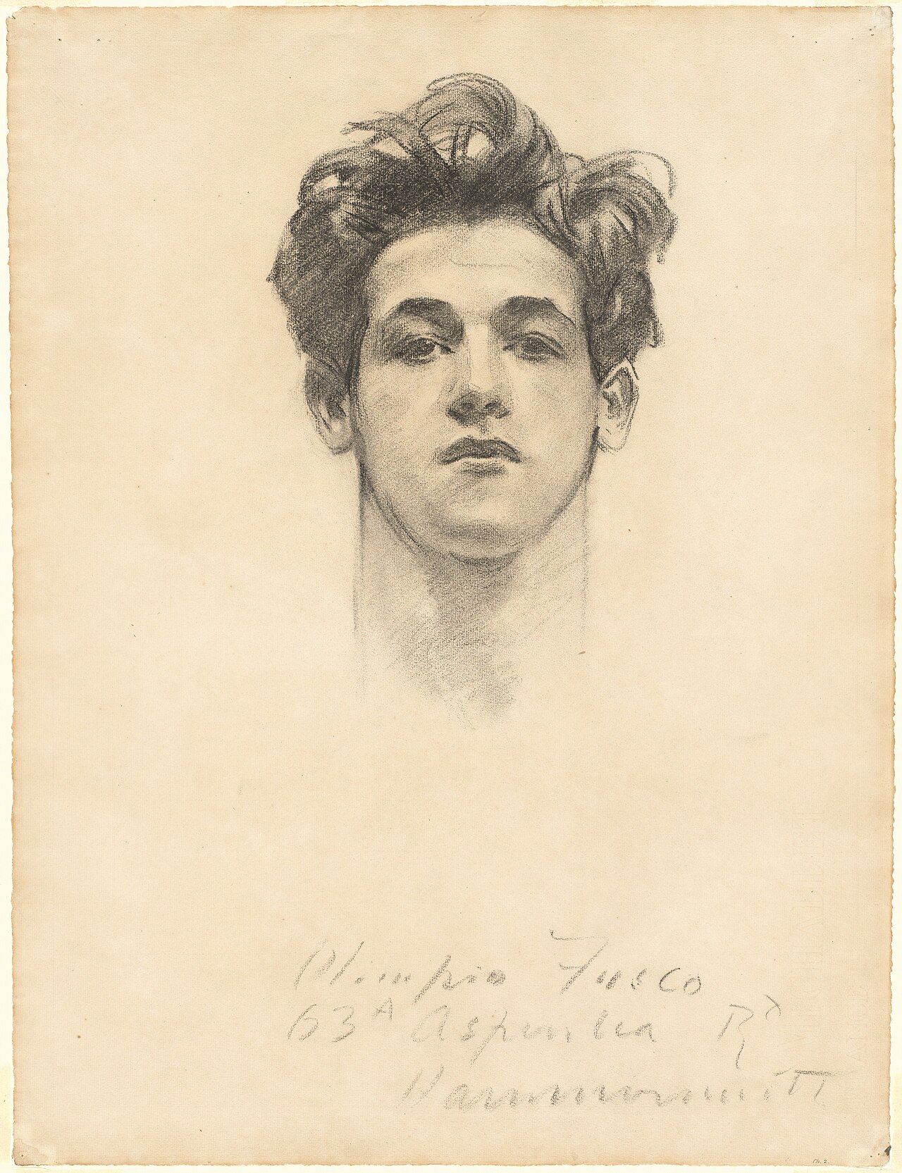 Madame X (Madame Pierre Gautreau) — image 6