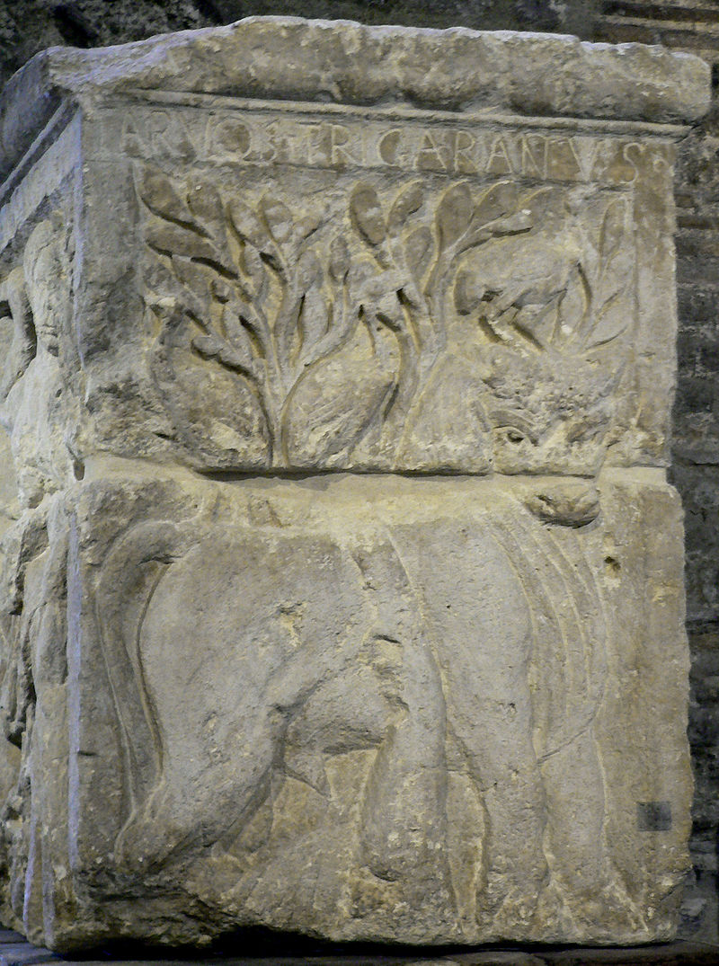 Lutetia — image 2