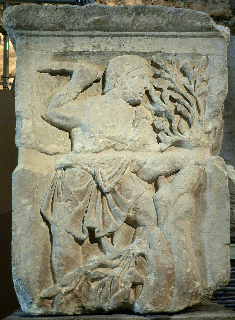 Lutetia — image 5