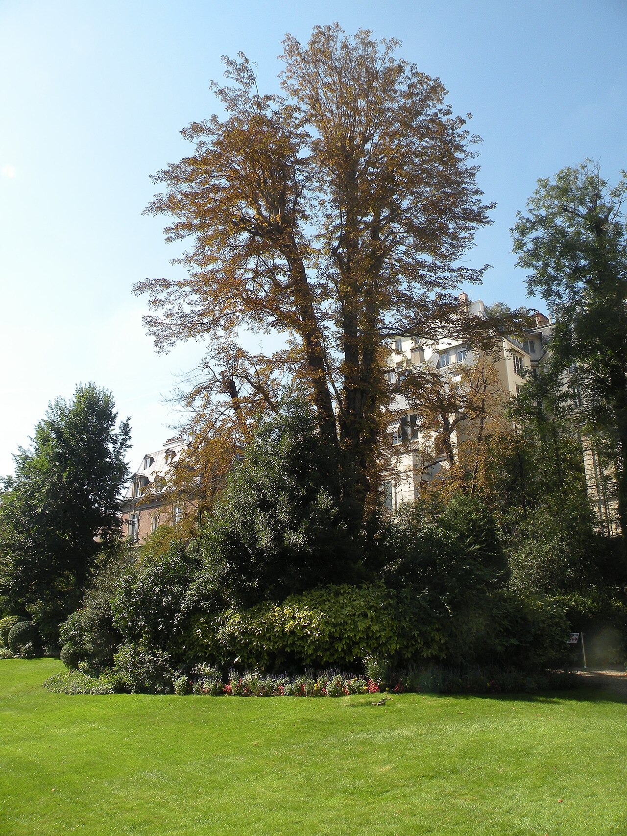 The Faubourg Saint Germain — image 2