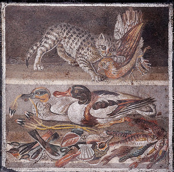 House of the Faun — image 13