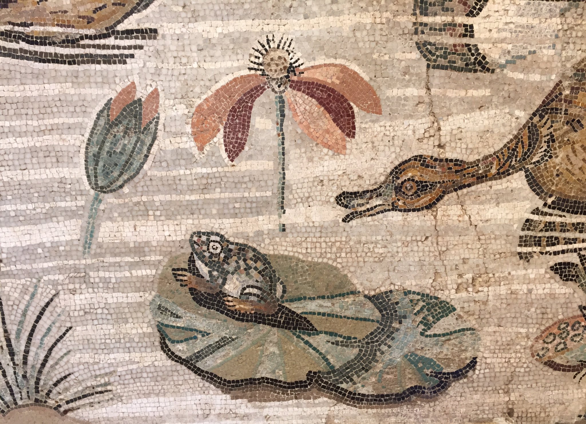 House of the Faun — image 4