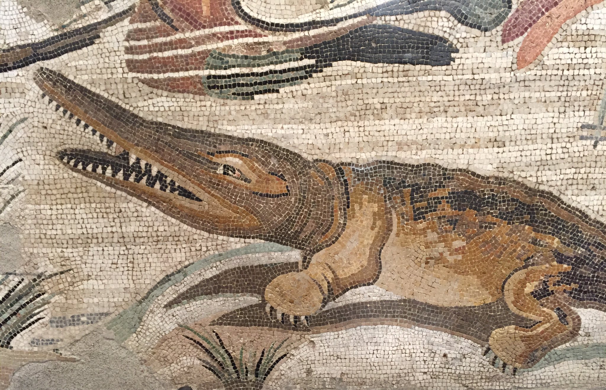 House of the Faun — image 6