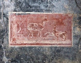 House of the Vettii — image 9