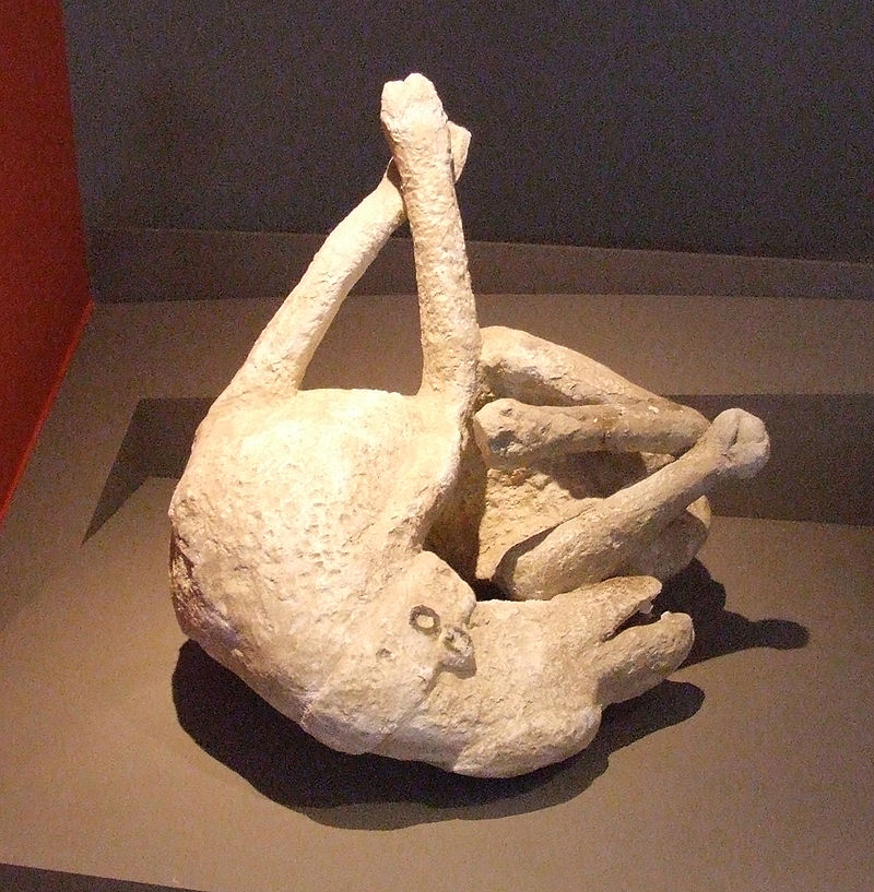 Plaster moulds — image 8