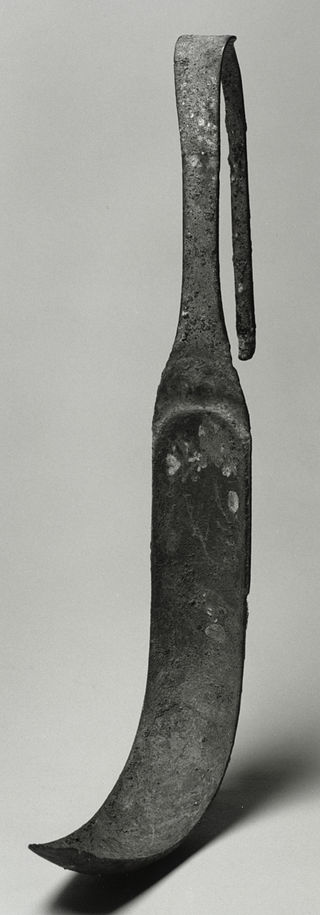 Stabian Baths — image 1