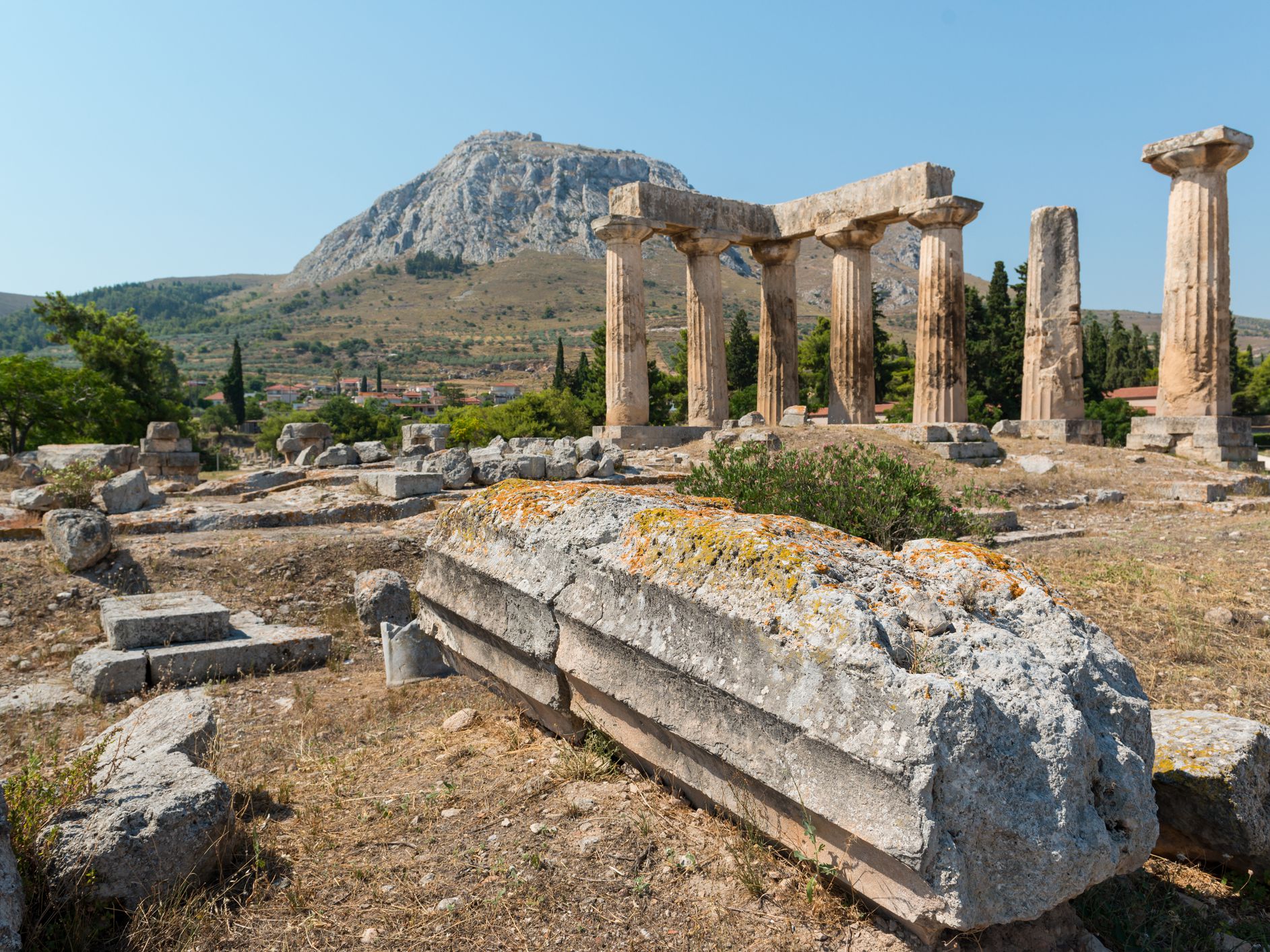 Thanks Pompeii — image 11