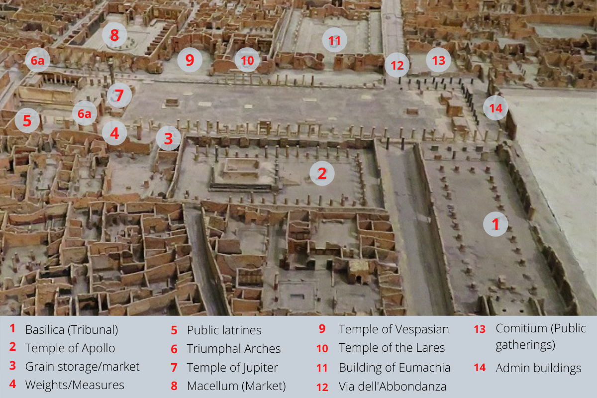 The Forum - The Place to Be — image 4
