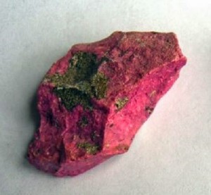 Blick Mead - A Mesolithic site — image 1