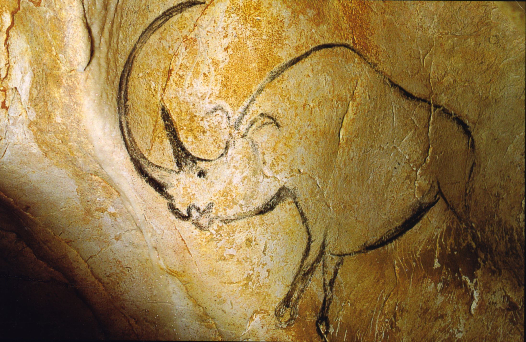 Blick Mead - A Mesolithic site — image 5