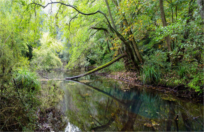 Blick Mead - A Mesolithic site