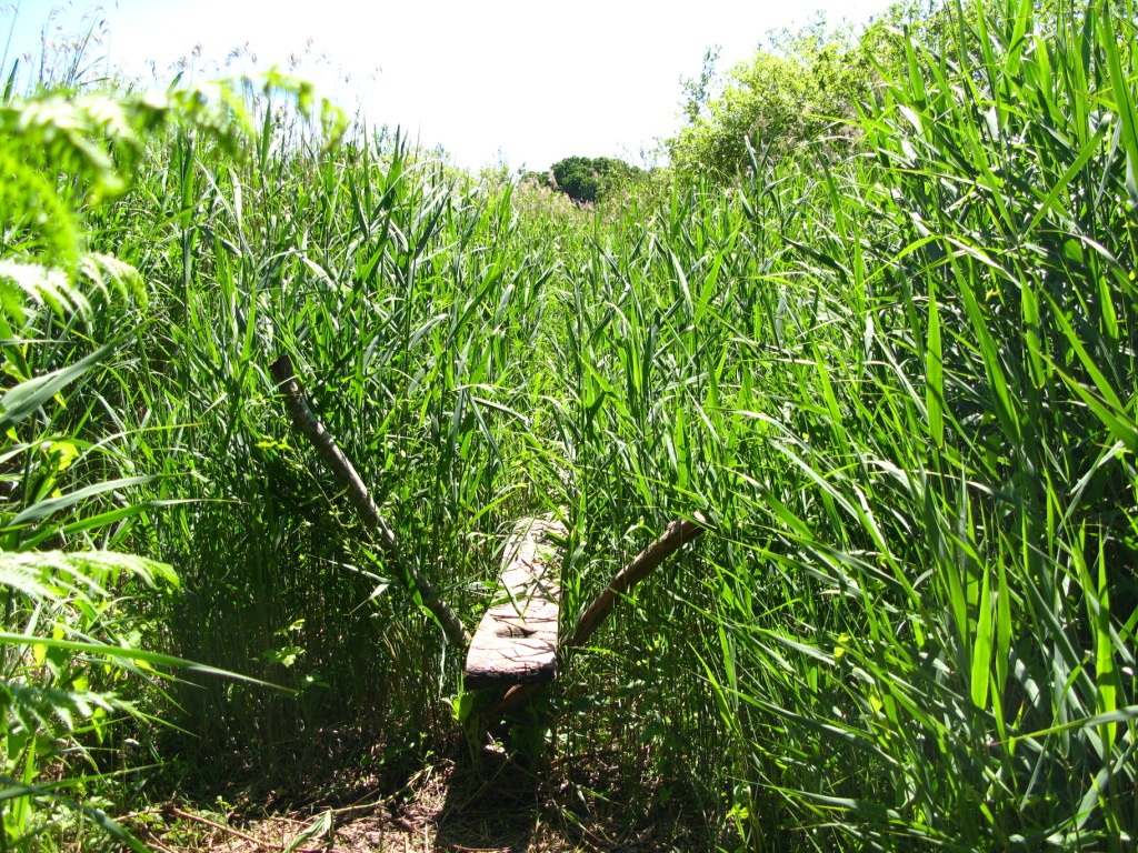 Durrington Walls - The builders' settlement — image 3