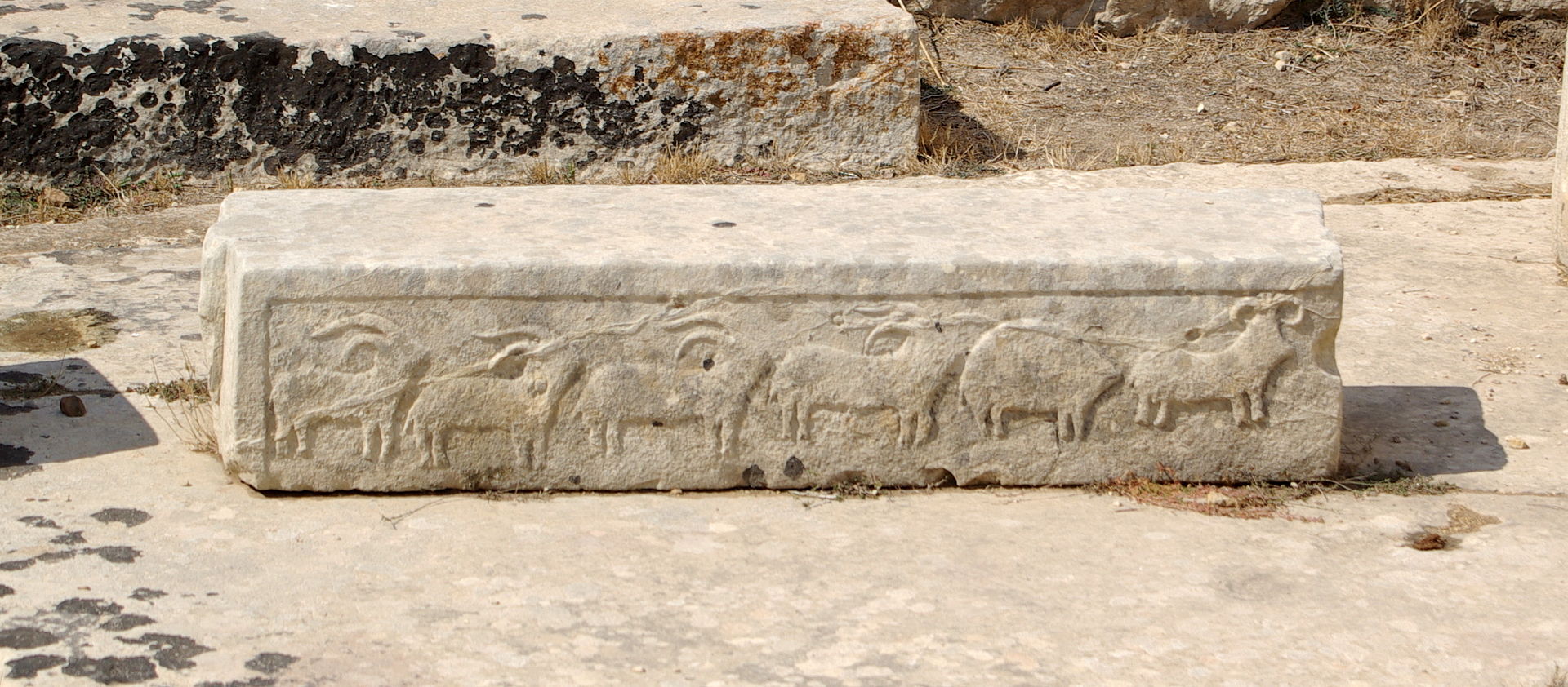 Durrington Walls - The builders' settlement — image 8