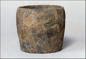 Durrington Walls - The builders' settlement — image 10