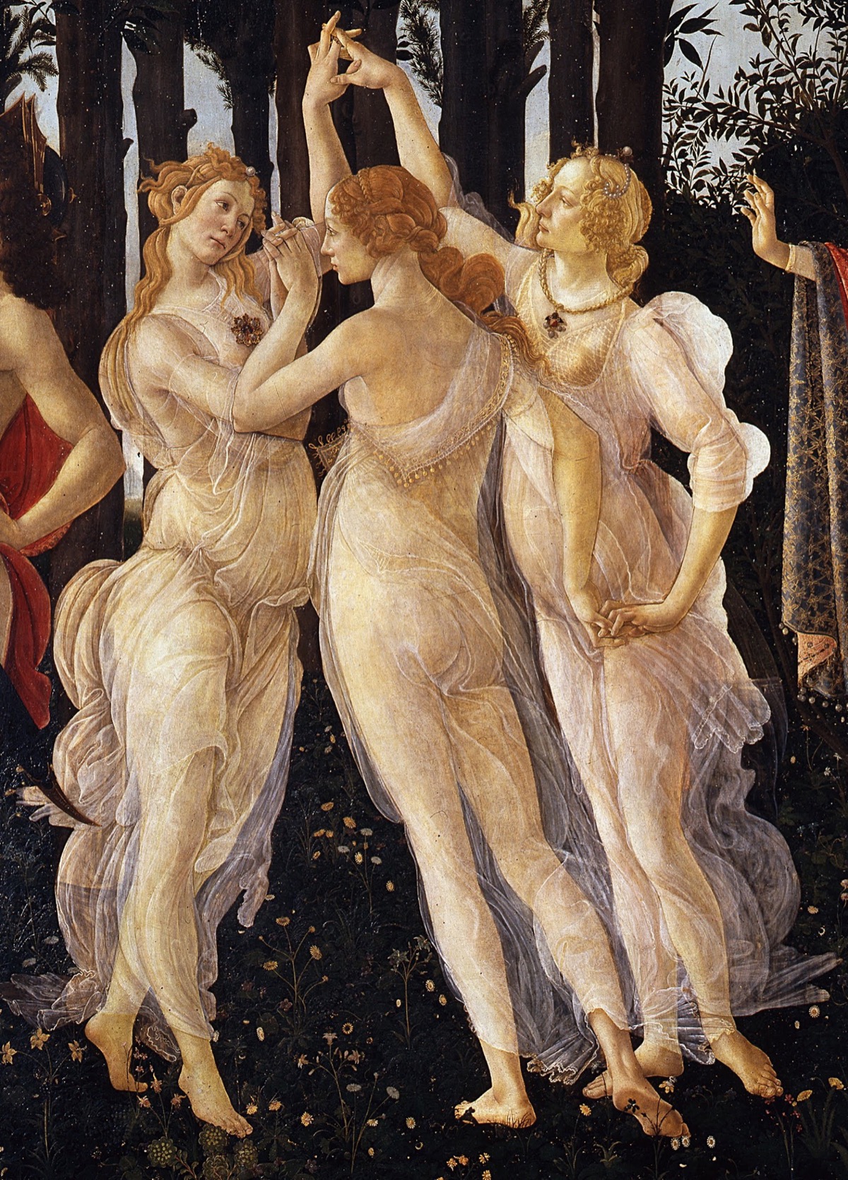 Primavera — image 2