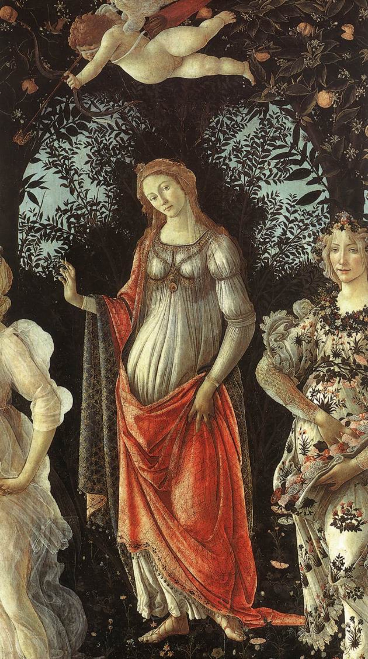 Primavera — image 1