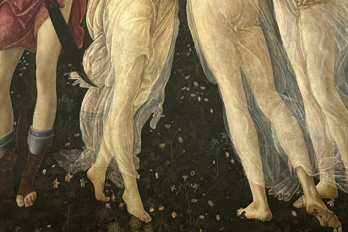 Primavera — image 1