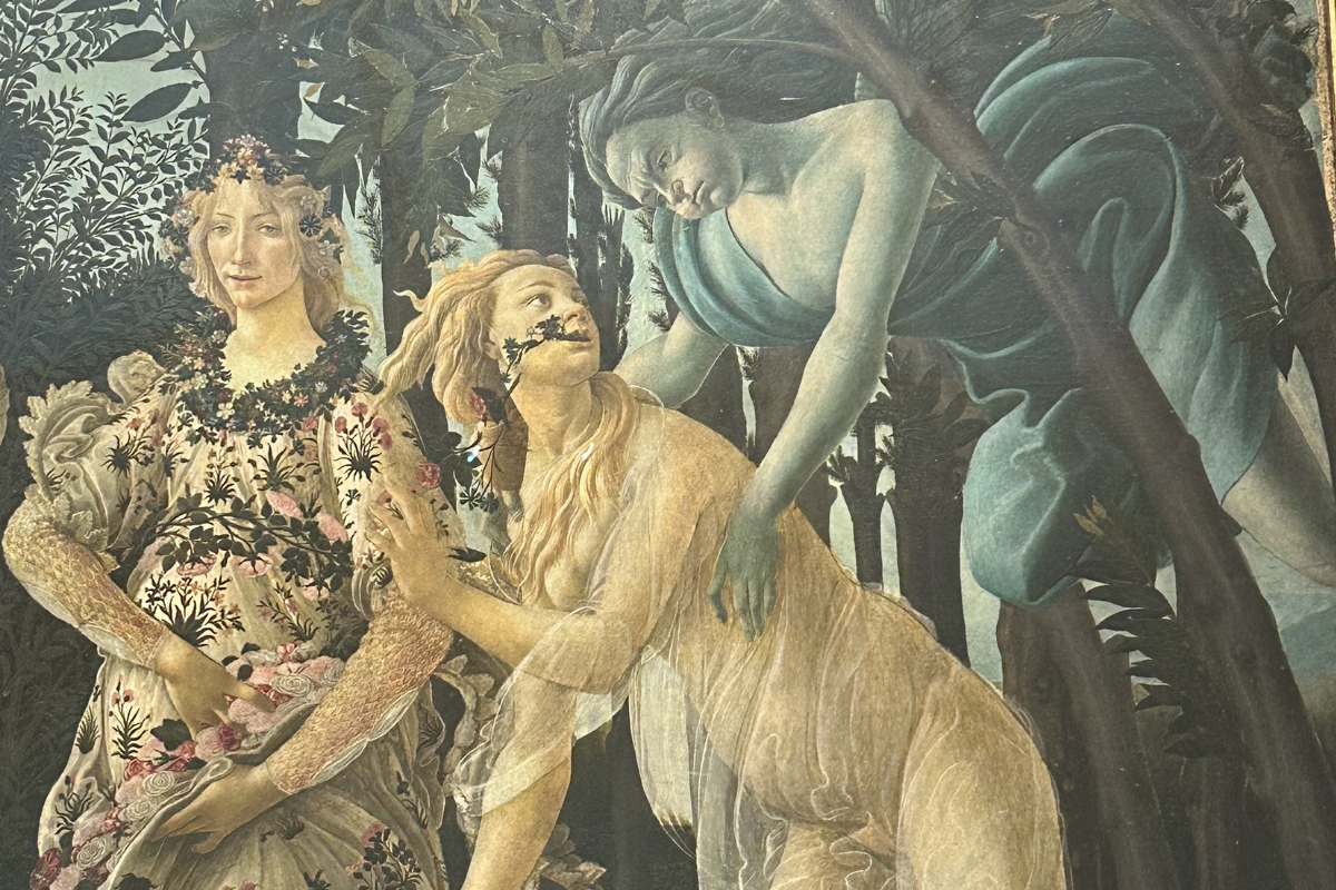 Primavera — image 5