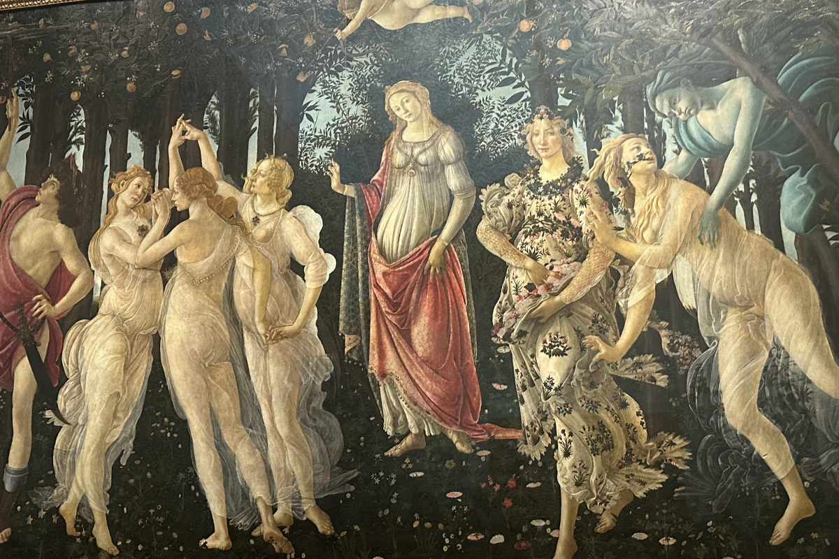 Primavera — image 6