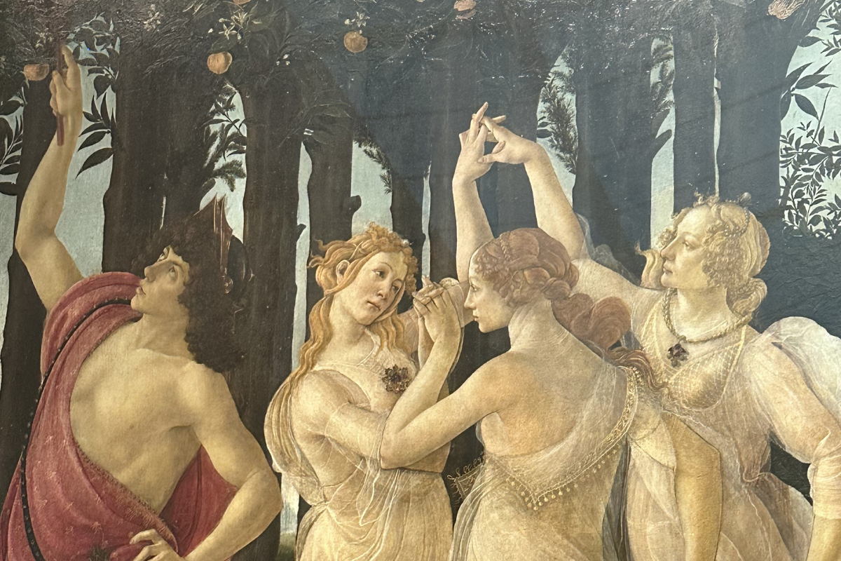 Primavera — image 2